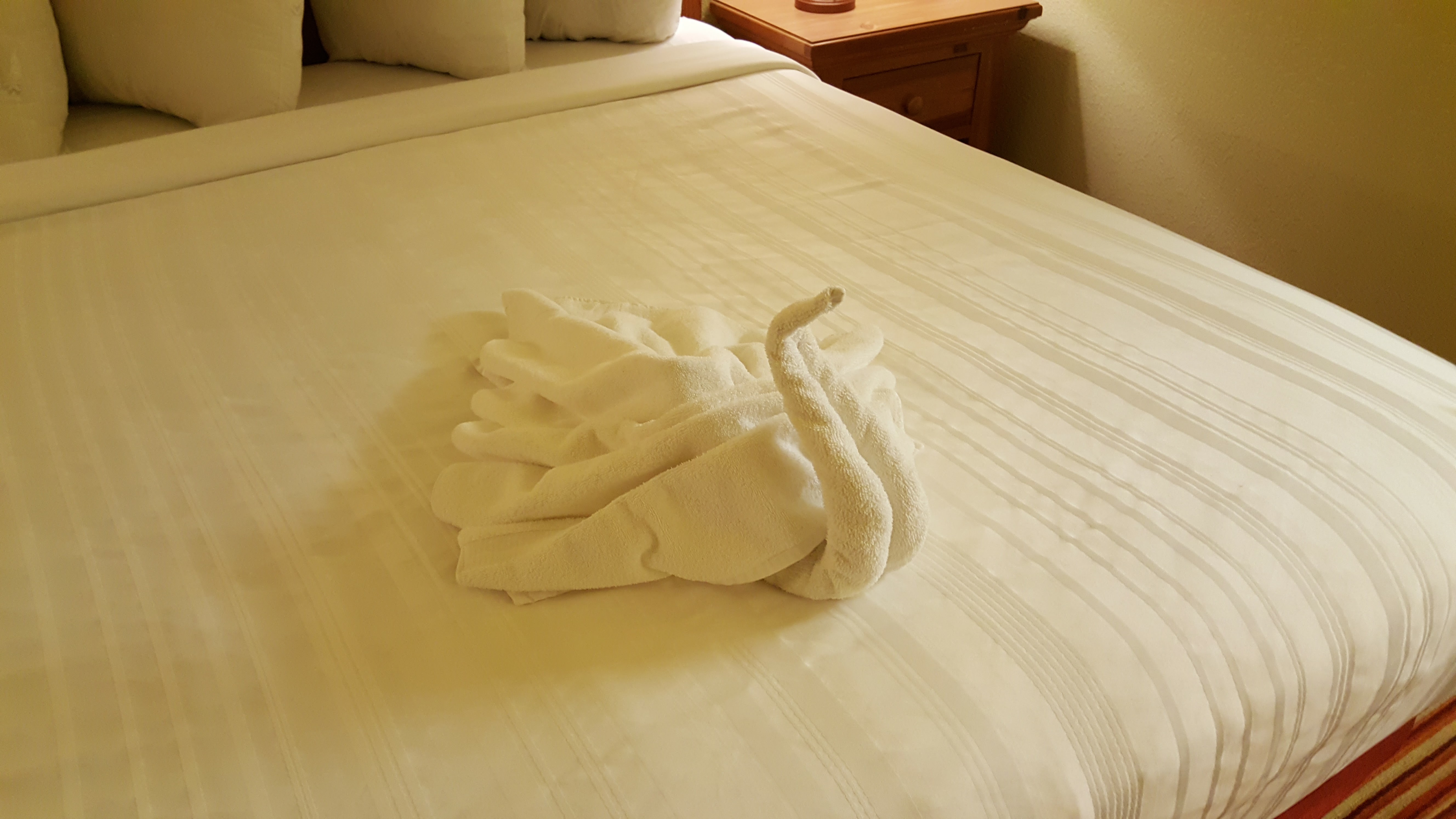 The Swan Towel.