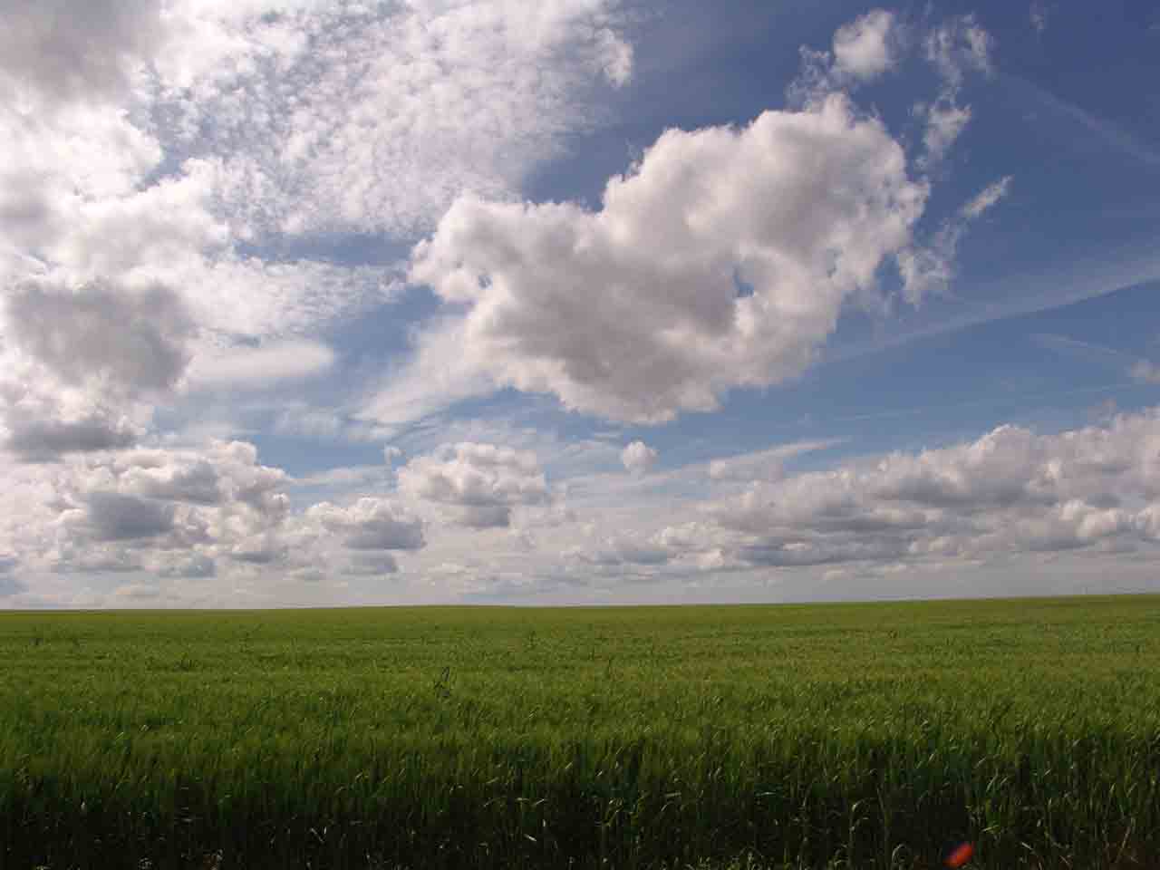 Word Nerd: Favorite Words.