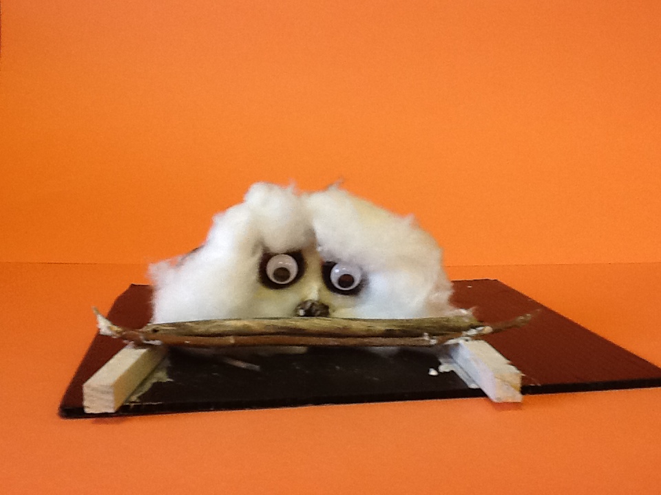 A Monkey ‘Jote’ Because It’s Essentially Finals Week